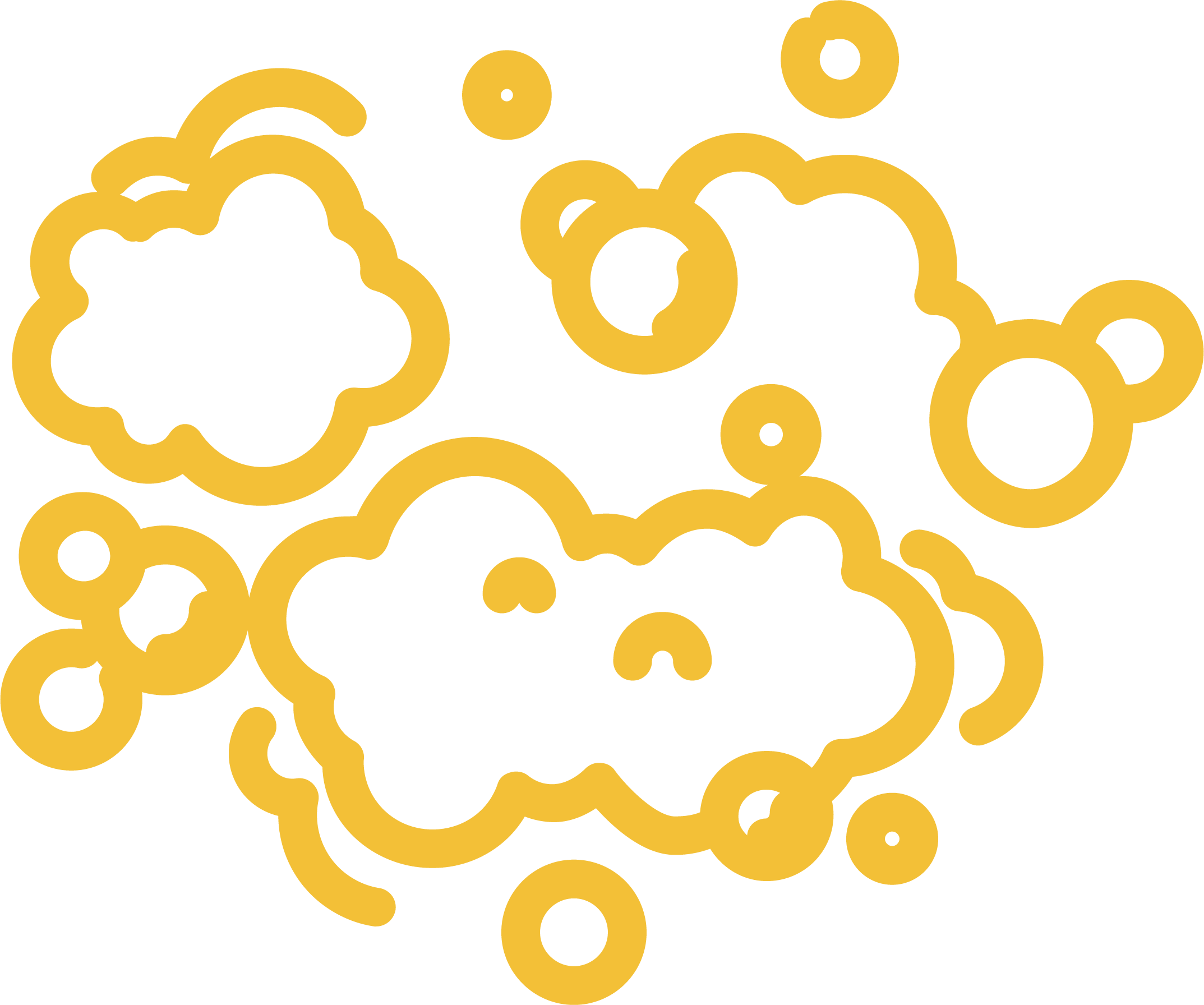 fermentacja główna