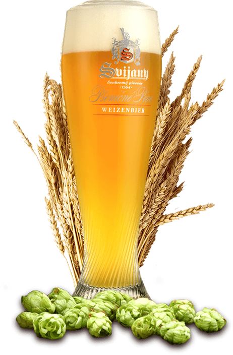 Svijany Polska piwo